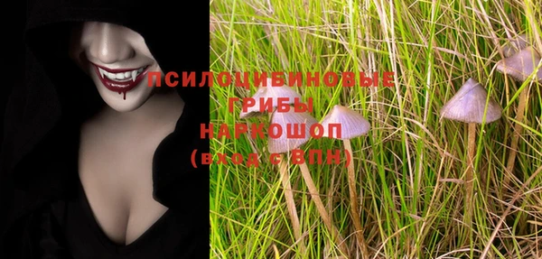 стафф Гусиноозёрск