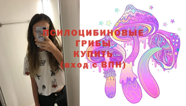 стафф Горно-Алтайск