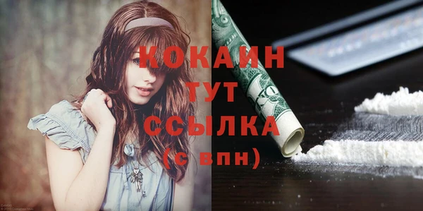 скорость Гусев