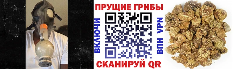 Псилоцибиновые грибы MAGIC MUSHROOMS  Новочеркасск 